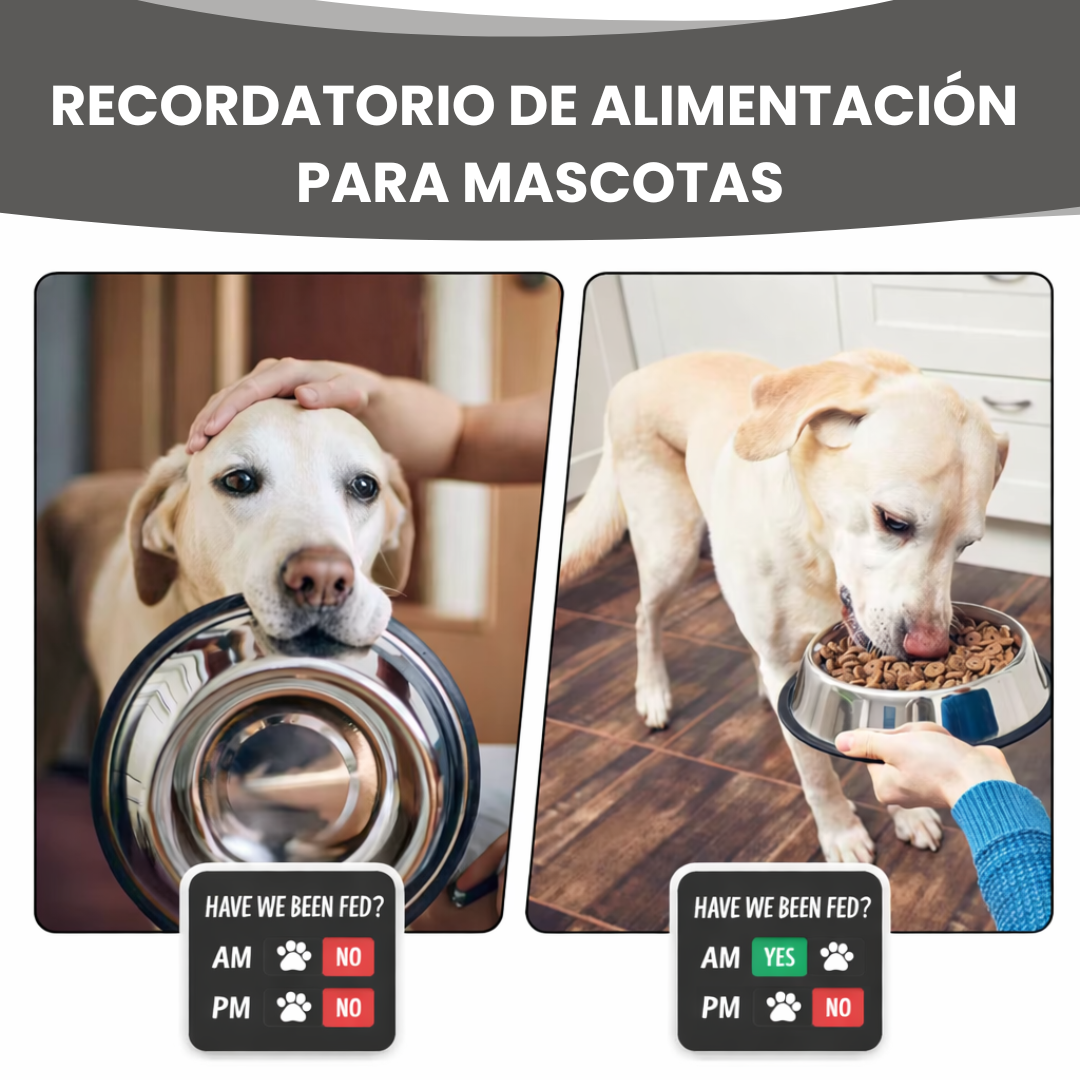 Imán Recordatorio de Alimentación Mascotas